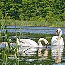 13 Spływ kajakowy Paklicą z Lubrzy do Paradyza - Zwiedzak